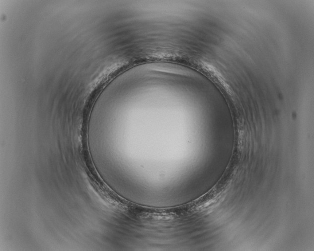 X0000088460443200706121508