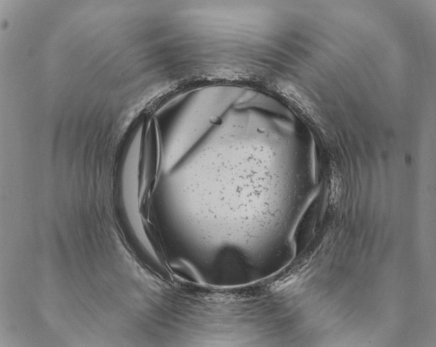 X0000088460444200706121508