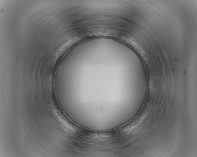 X0000088460445200706121508