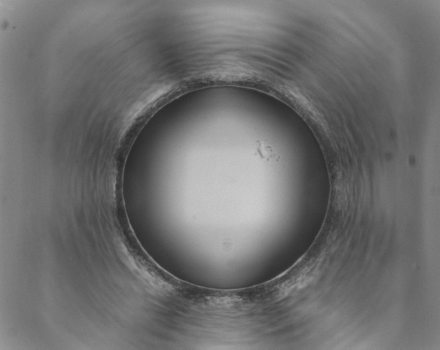 X0000088460446200706121508