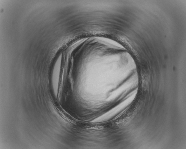 X0000088460447200706121508