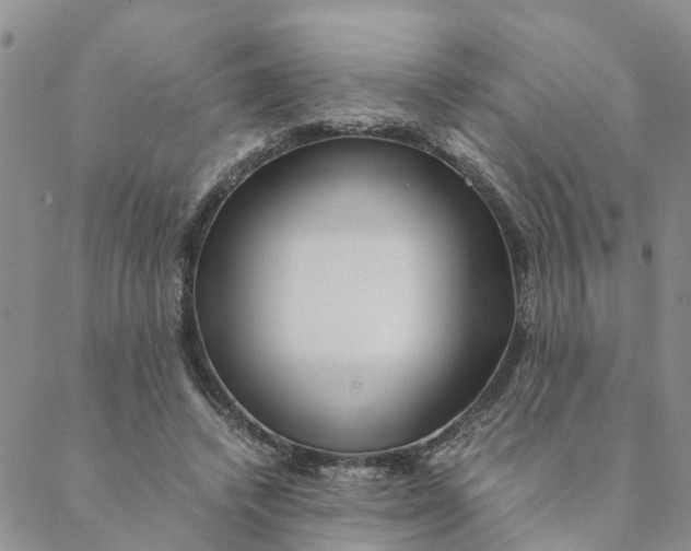 X0000088460448200706121508