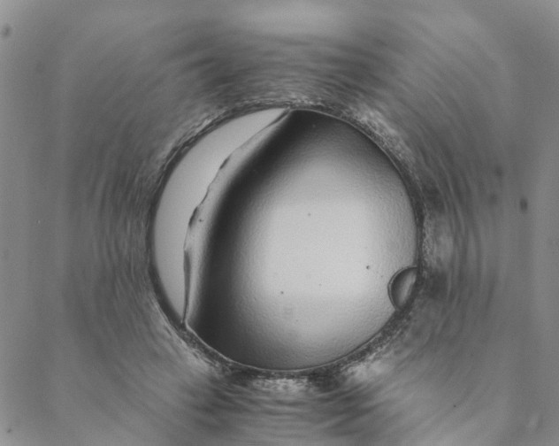 X0000088460449200706121508