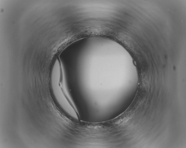 X0000088460450200706121508