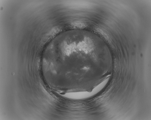 X0000088460451200706121508