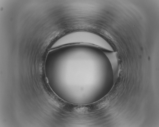 X0000088460452200706121508