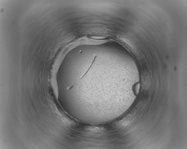 X0000088460453200706121508