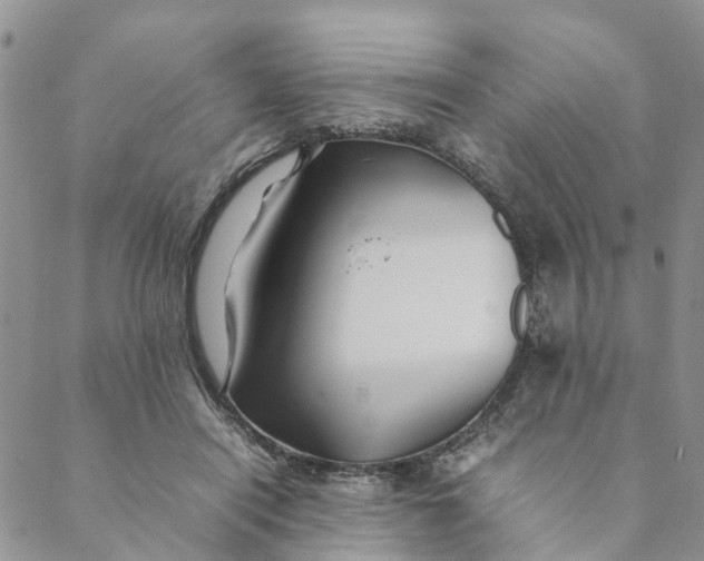 X0000088460454200706121508