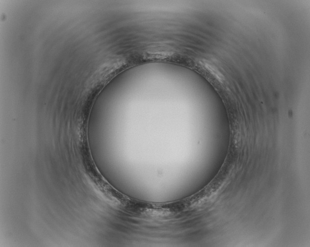 X0000088460455200706121508