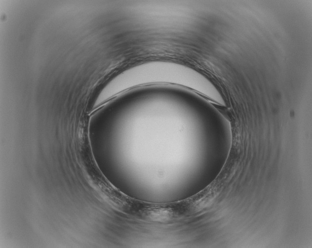 X0000088460456200706121508