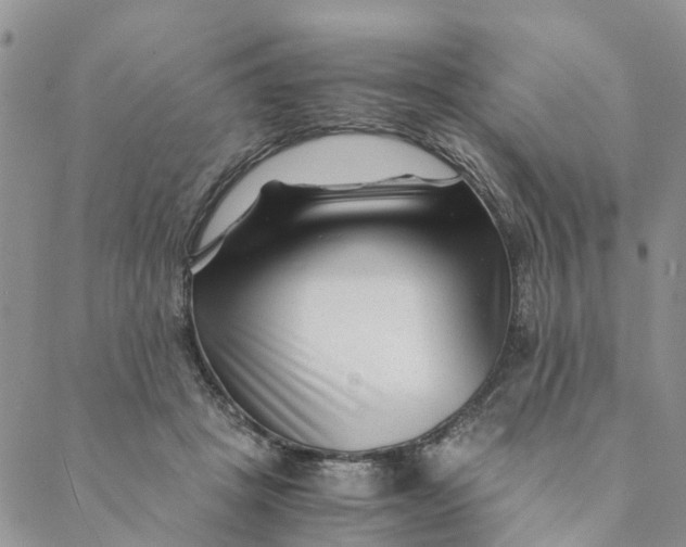 X0000088460457200706121508