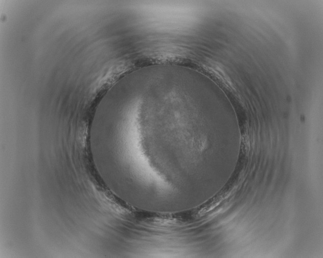 X0000088460458200706121508