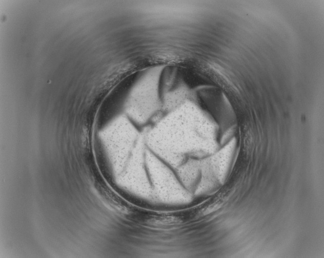 X0000088460459200706121508