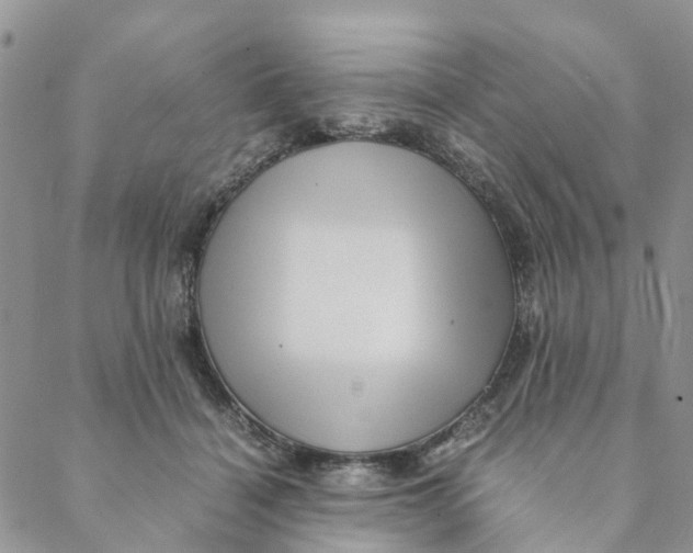 X0000088460460200706121508