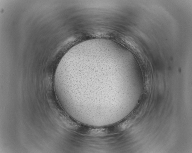 X0000088460461200706121508