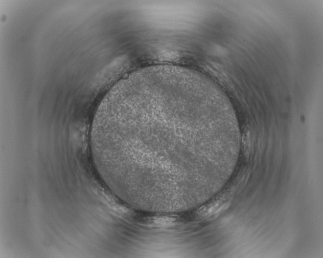 X0000088460462200706121508