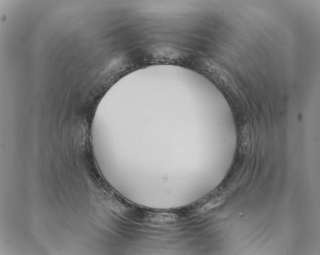 X0000088460463200706121509