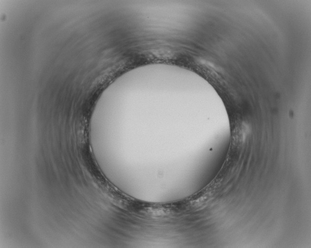 X0000088460464200706121509