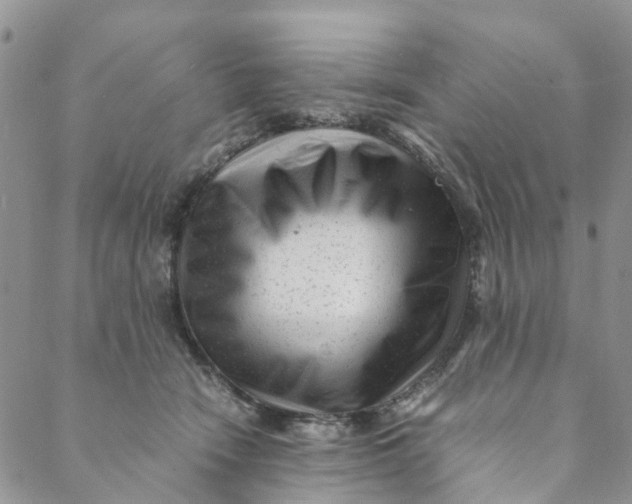 X0000088460466200706121509