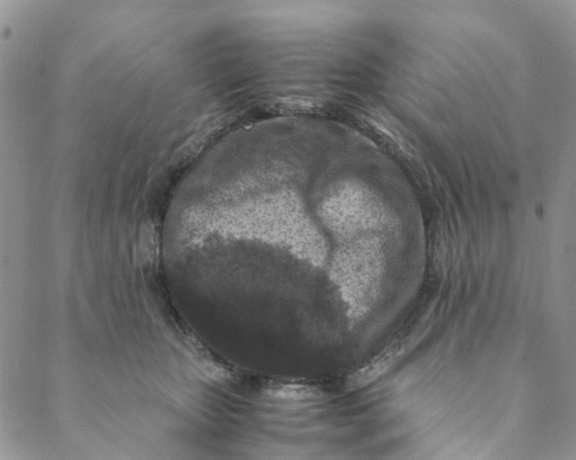 X0000088460467200706121509