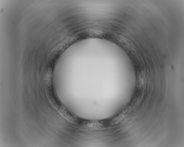 X0000088460468200706121509