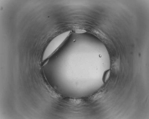 X0000088460469200706121509