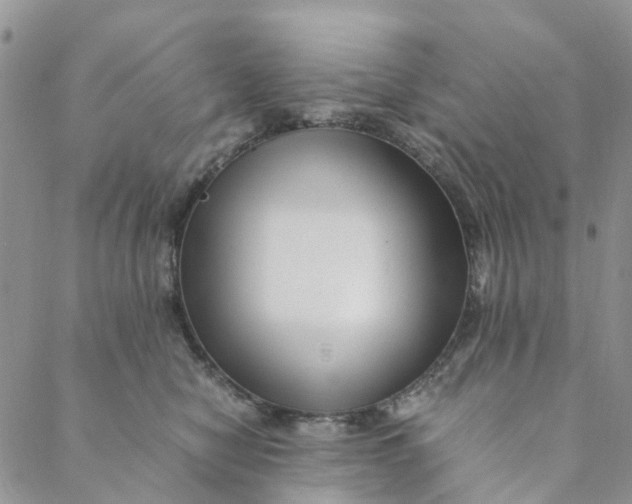 X0000088460470200706121509