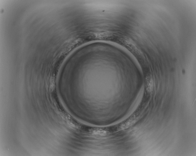 X0000088460471200706121509