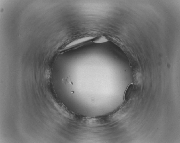 X0000088460472200706121509