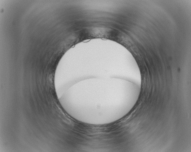 X0000088460473200706121509