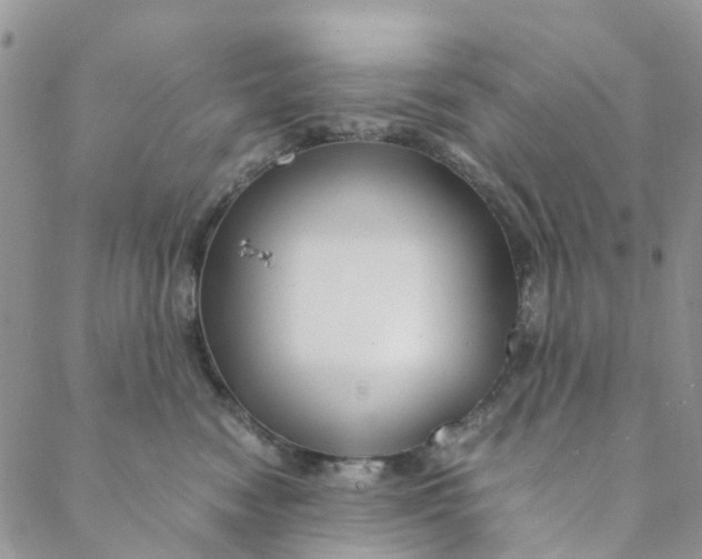 X0000088460474200706121509