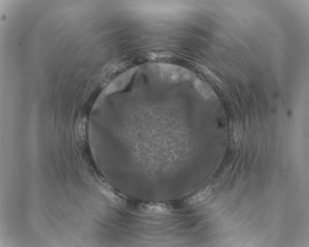 X0000088460475200706121509