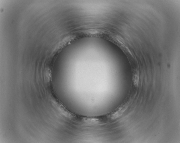 X0000088460476200706121509