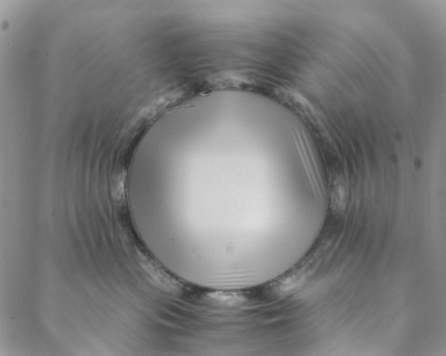 X0000088460477200706121509