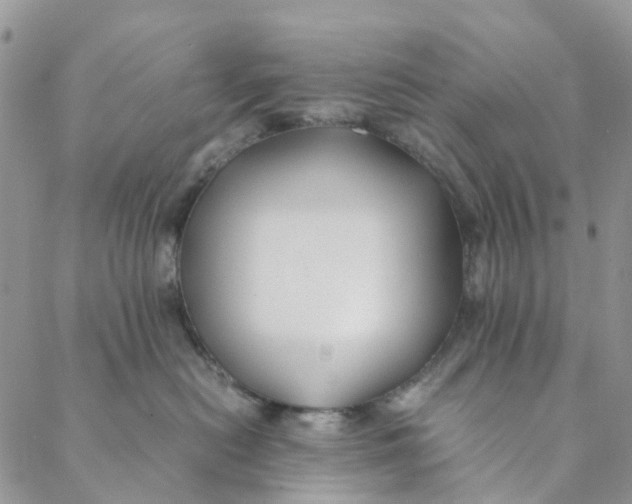 X0000088460478200706121509