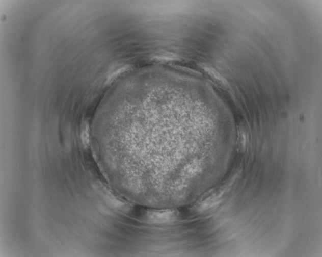 X0000088460479200706121509