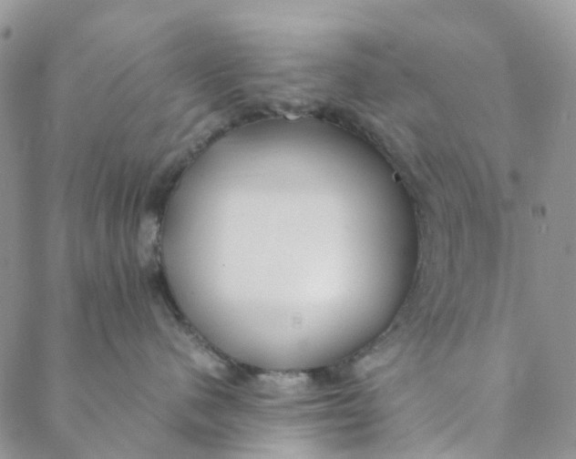 X0000088460480200706121509