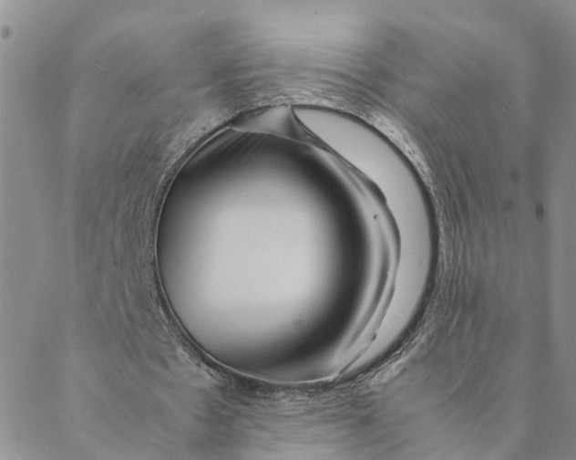 X0000088460481200706121508