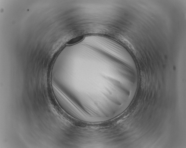 X0000088460482200706121508