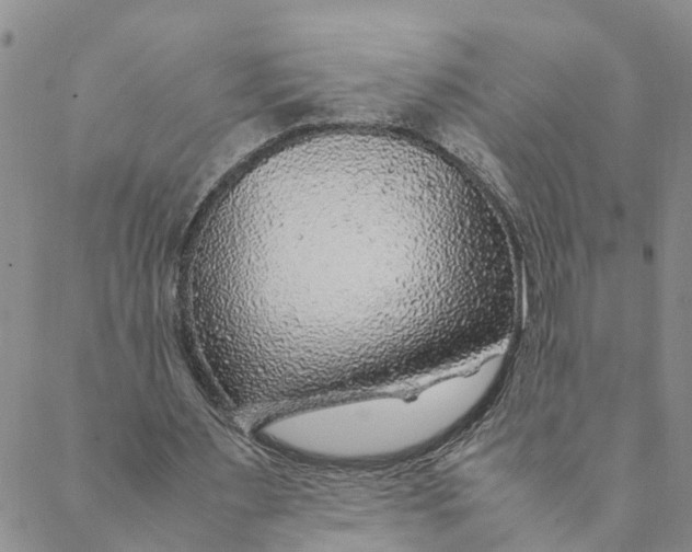 X0000088460483200706121508