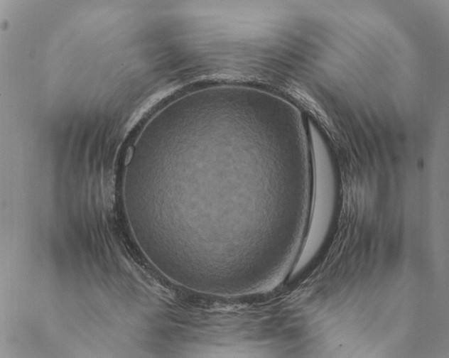 X0000088460484200706121508