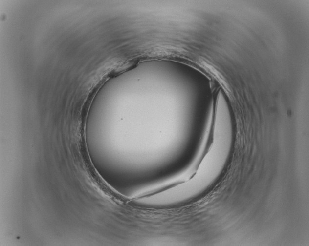 X0000088460485200706121508