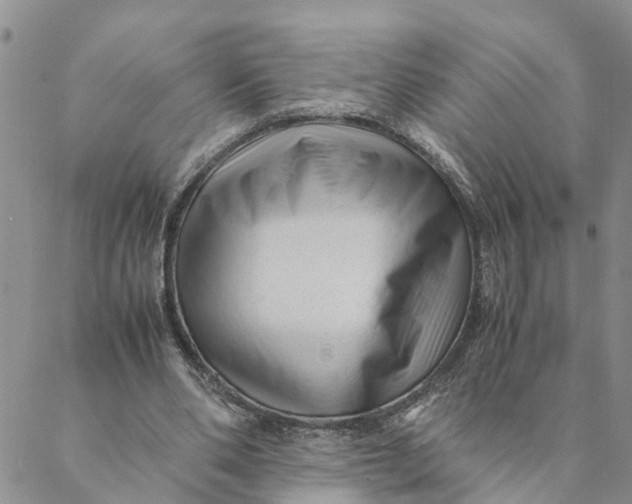 X0000088460486200706121508