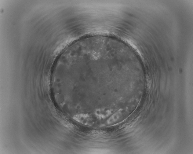 X0000088460487200706121508