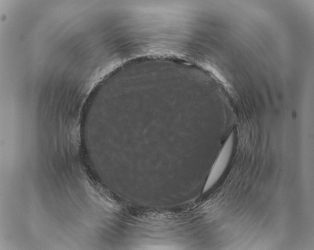 X0000088460488200706121508