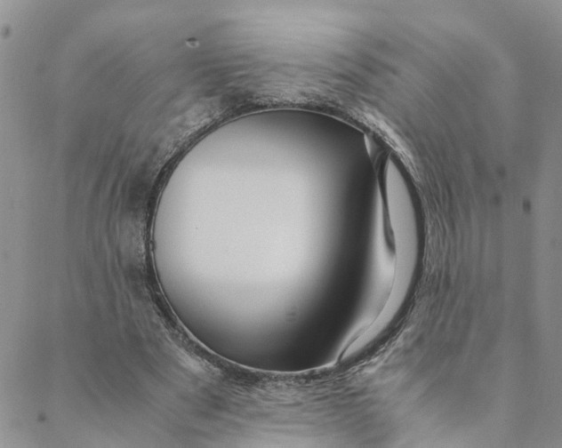 X0000088460489200706121508