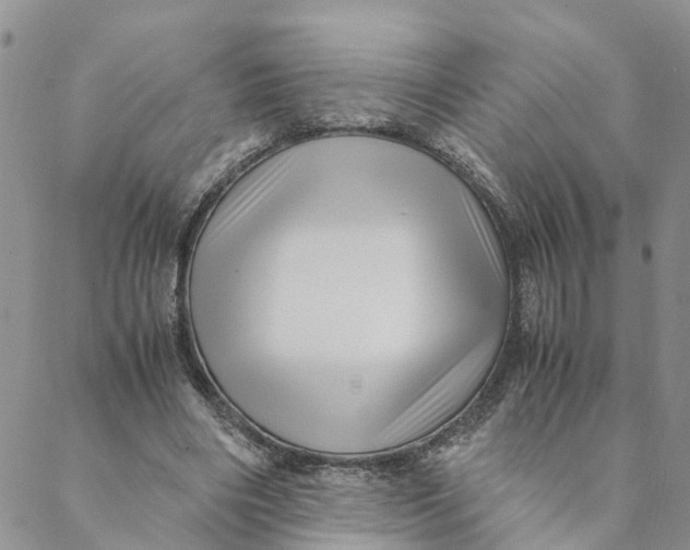 X0000088460490200706121508