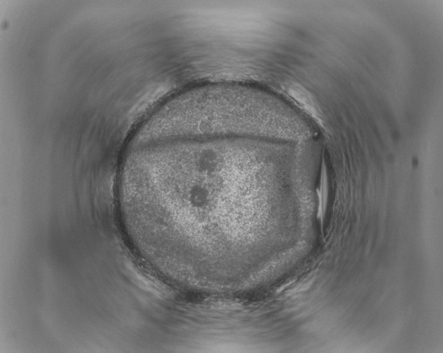 X0000088460491200706121508