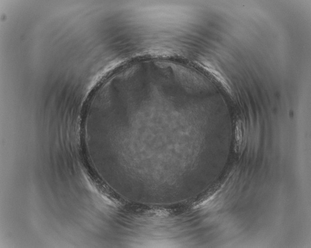 X0000088460492200706121508