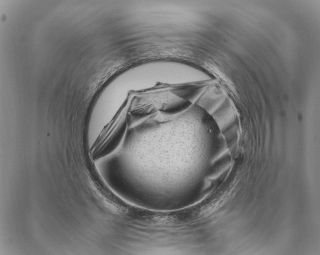 X0000088460493200706121508